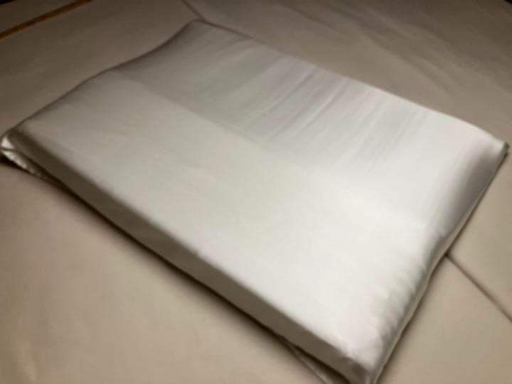 トゥルースリーパー　枕カバー　シルク　100％　19匁　シングル サイズ　日本製