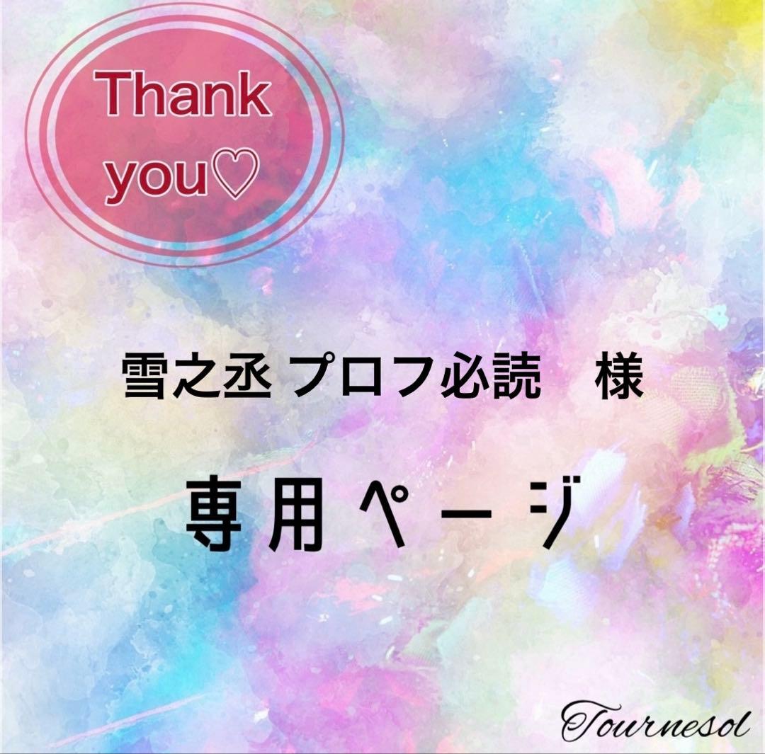 【雪之丞 プロフ必読 ページ】