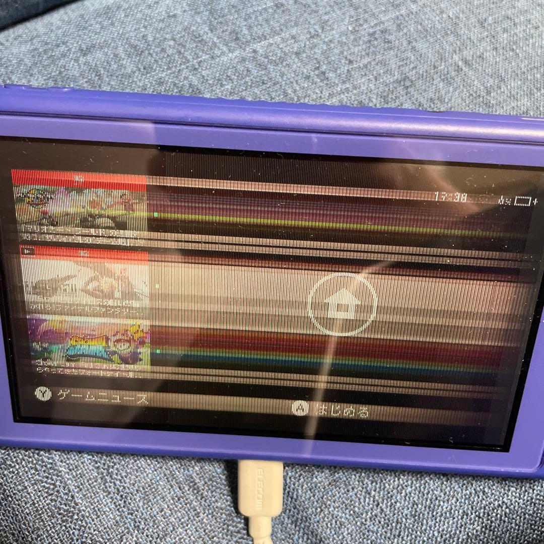 Nintendo Switch lite「ジャンク」