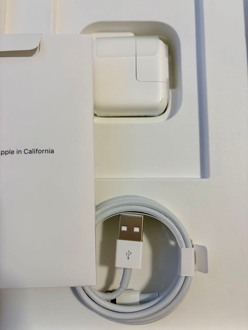 Apple iPad mini ローズゴールド 本体 256GB