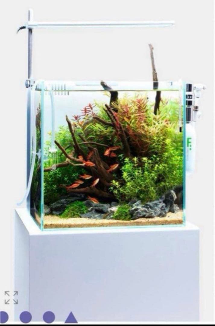 新品未開封品！ADAキューブガーデン30×30×30 ソルスタンドRGB