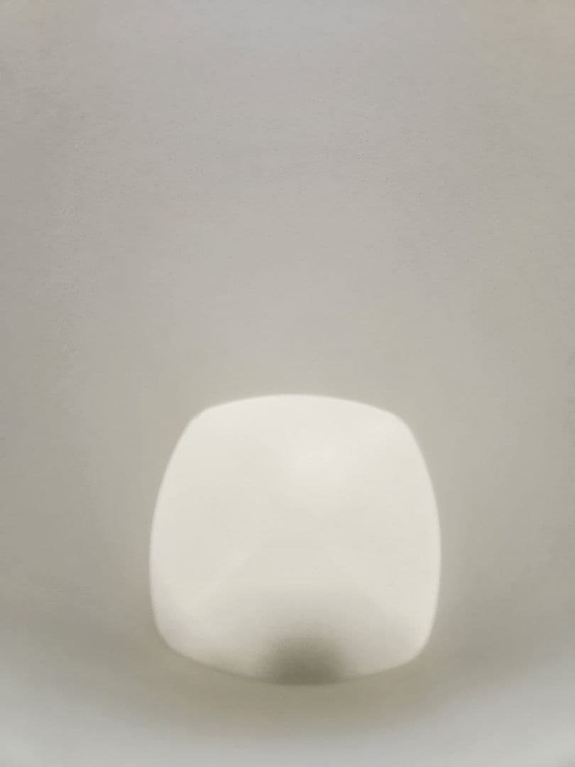 タッパーウェア　マキシクイーン デコレーター　大型　2個セット