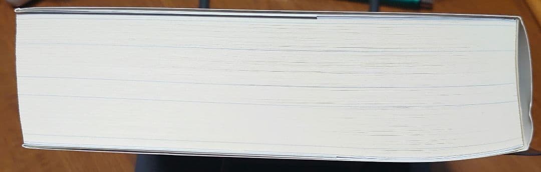 ヤ*ン様 天気の子 新海誠絵コンテ集 6