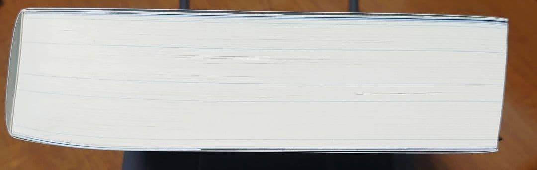 ヤ*ン様 天気の子 新海誠絵コンテ集 6