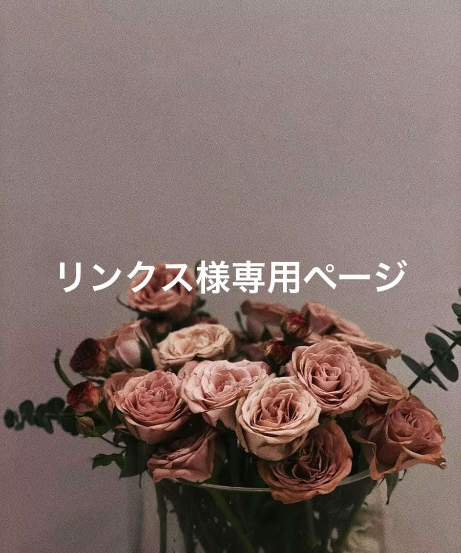 リンクスページ