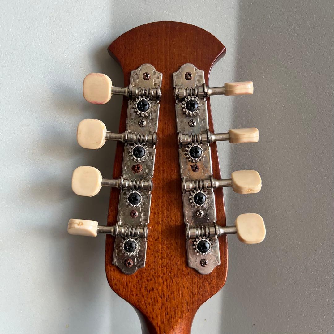 A36極美品✨　Suzuki マンドリン　M-210 1975年 弦楽器