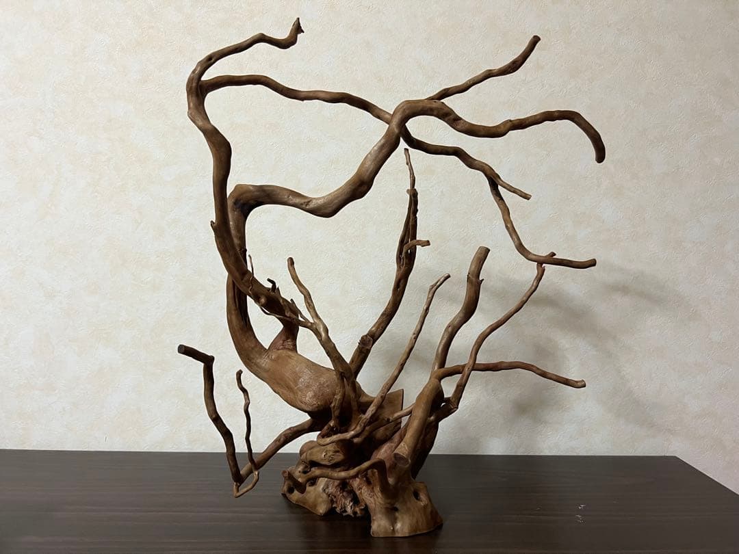 13003 ブランチウッド　流木　アクアリウム　沈水確認済