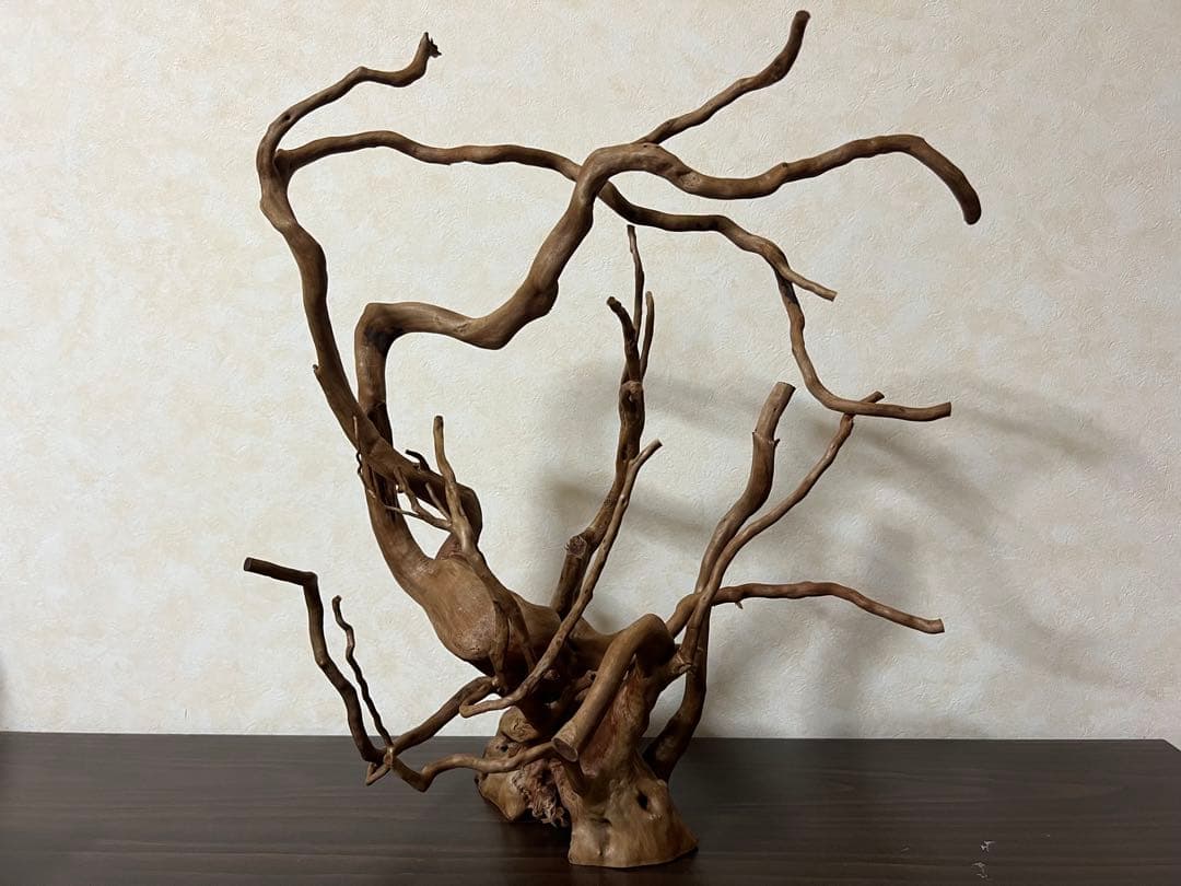 13003 ブランチウッド　流木　アクアリウム　沈水確認済