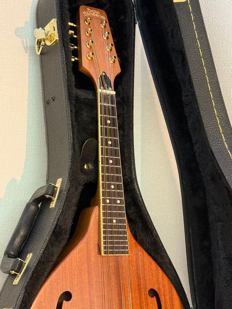 フラットマンドリンBeanBlossom By Morgan Monroe