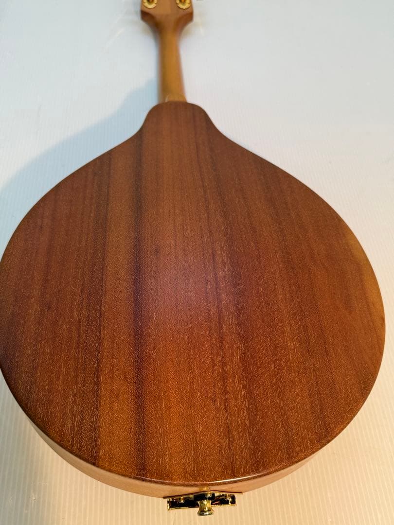 フラットマンドリンBeanBlossom By Morgan Monroe