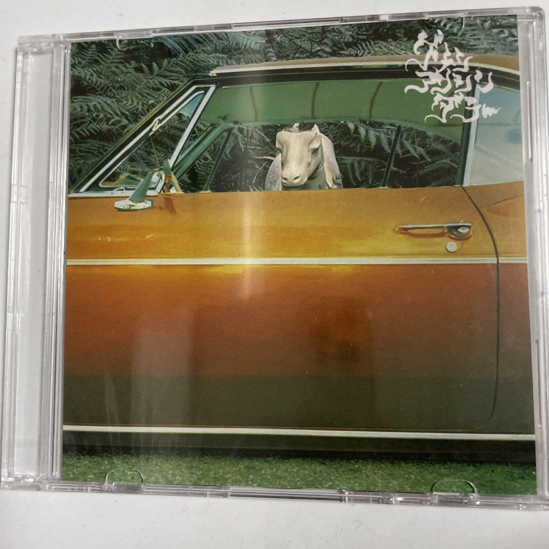 GREEN ASSASSIN DOLLAR - DIME PIECE 舐達麻