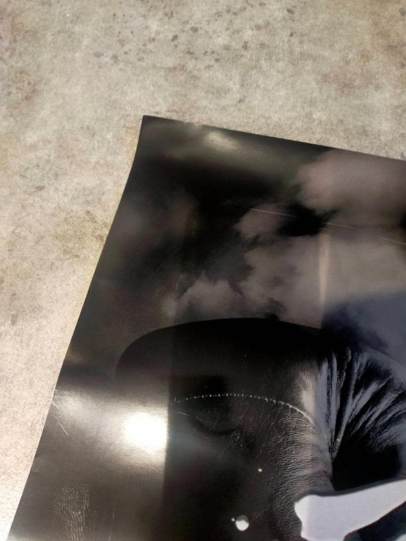 【非売品】3150FIGHT!! タイトルマッチポスター＆亀田興毅サイン色紙！