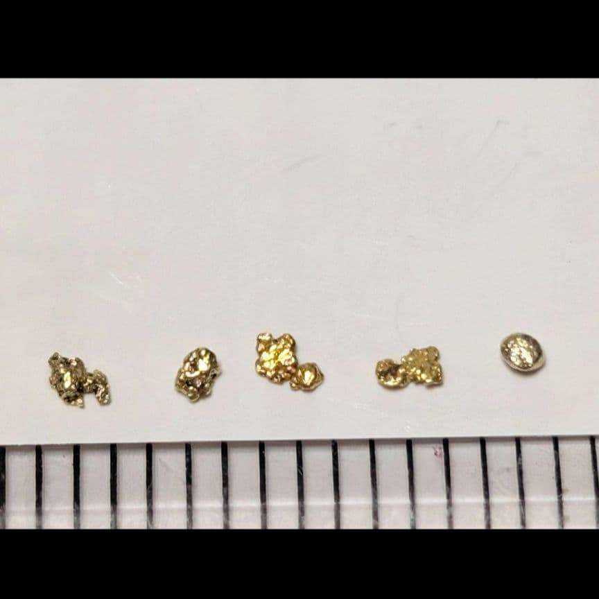 ①国産 砂金 自然金 天然砂金 栃木県産