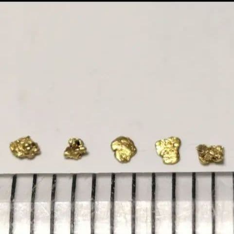 ①国産 砂金 自然金 天然砂金 栃木県産