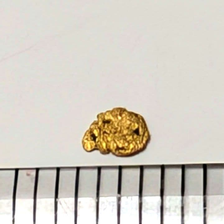 ①国産 砂金 自然金 天然砂金 栃木県産