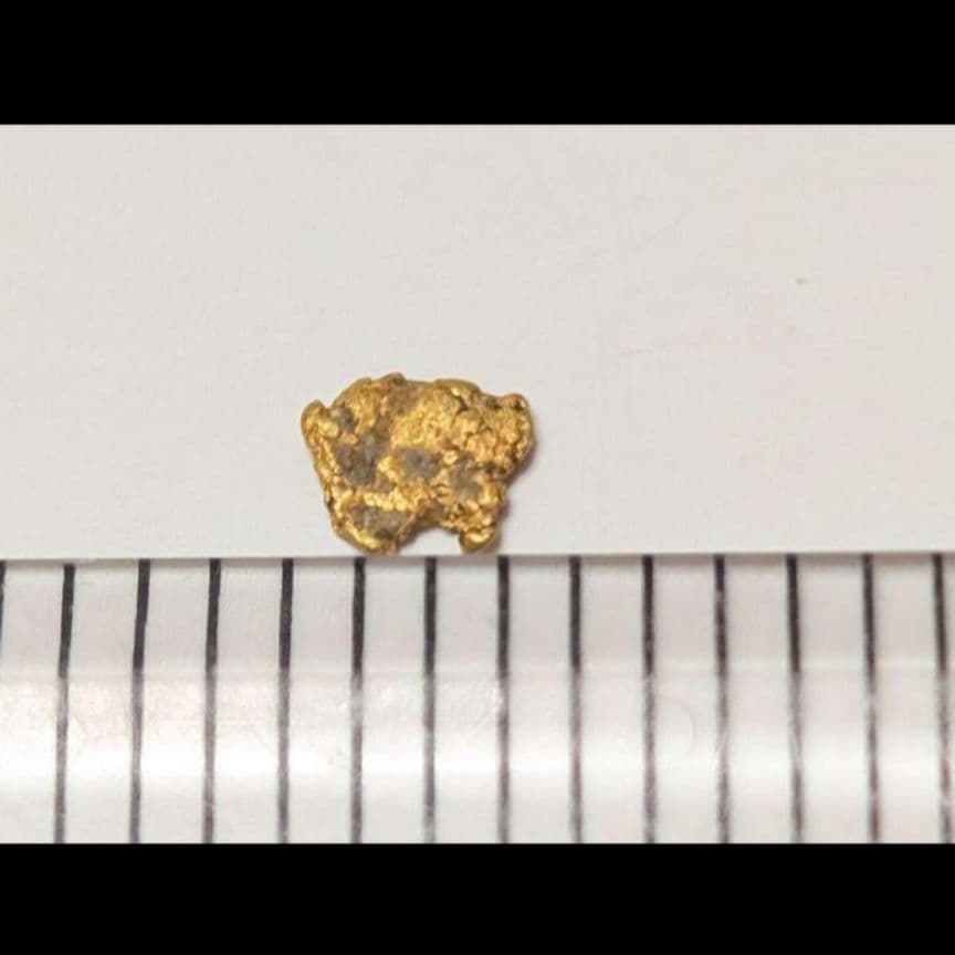 ①国産 砂金 自然金 天然砂金 栃木県産