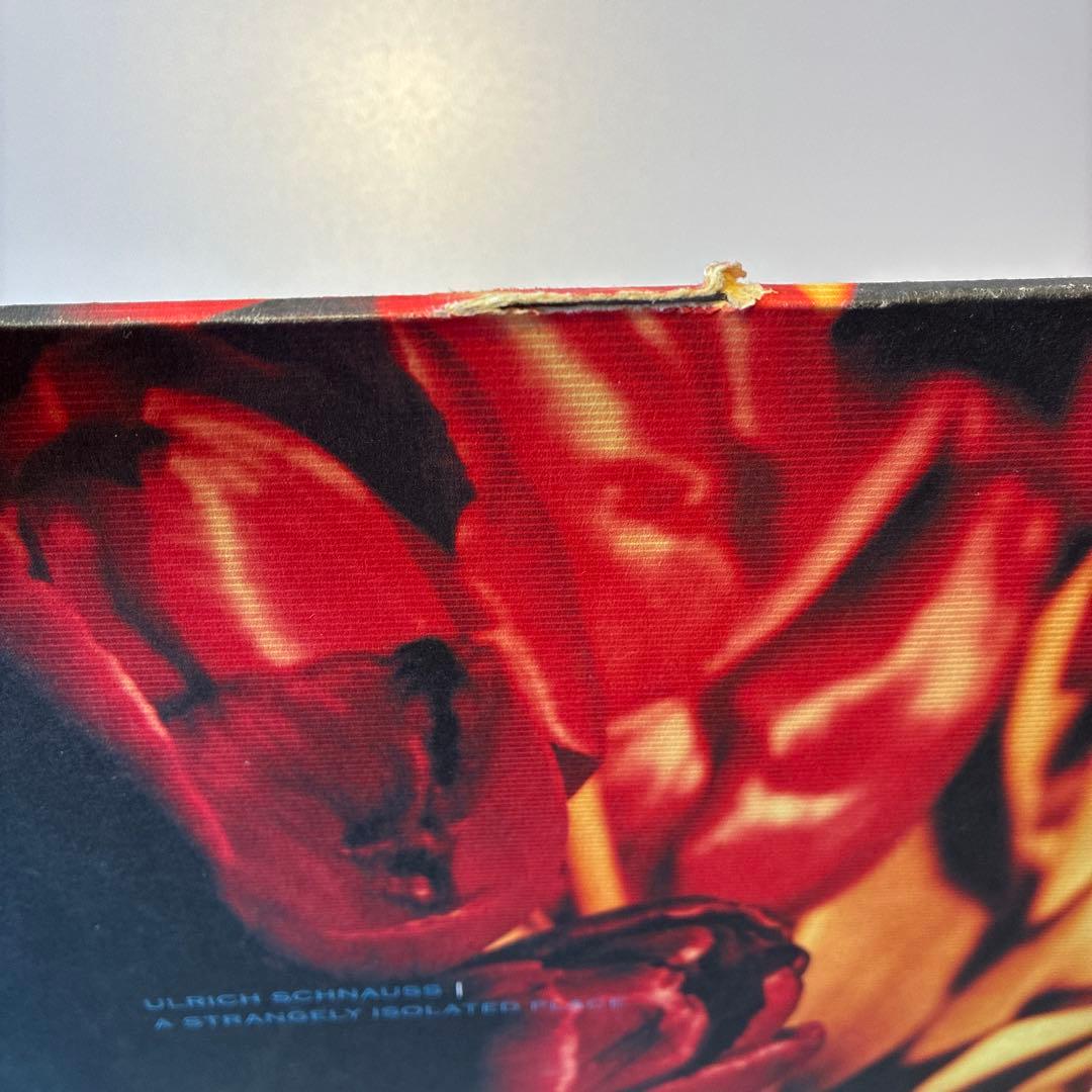 ulrich schnauss レコード　2点セット