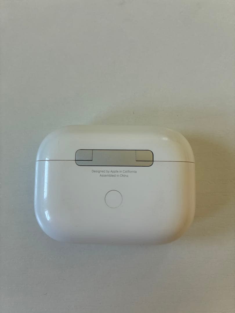 AirPods Pro ＋ エスターバニーケース セット