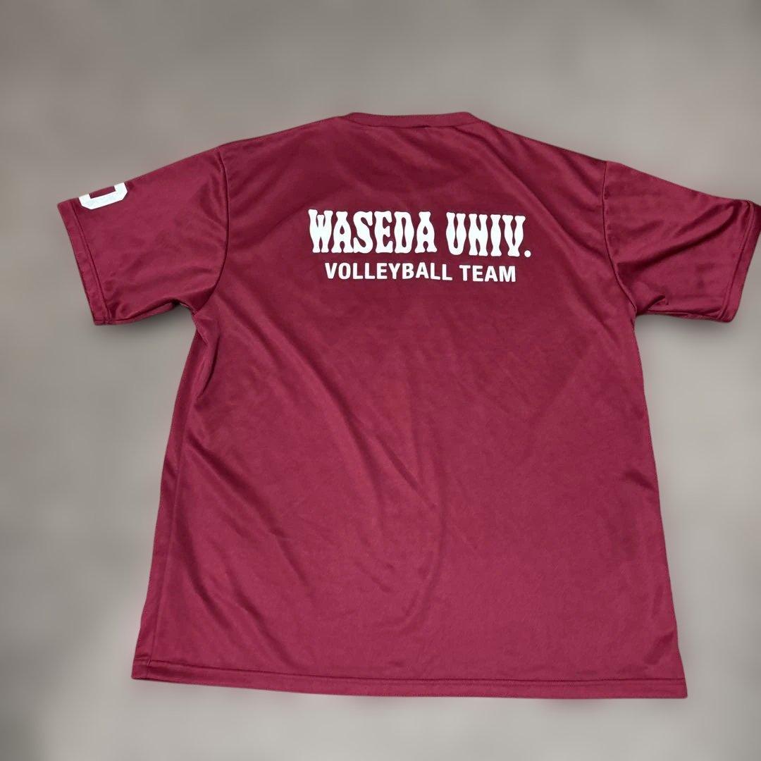 WASEDA UNIV. VOLLEYBALL TEAM 2022 シャツ早稲田