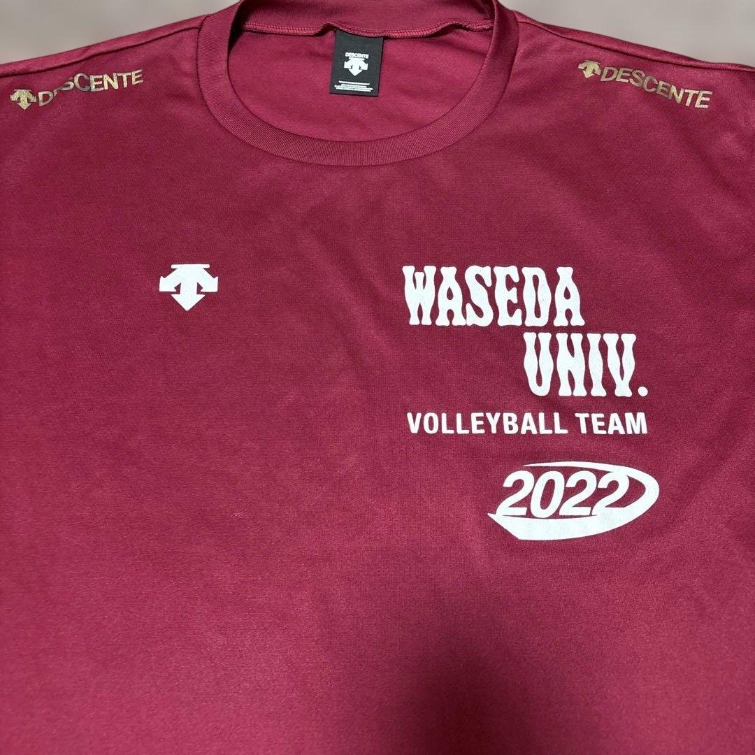WASEDA UNIV. VOLLEYBALL TEAM 2022 シャツ早稲田