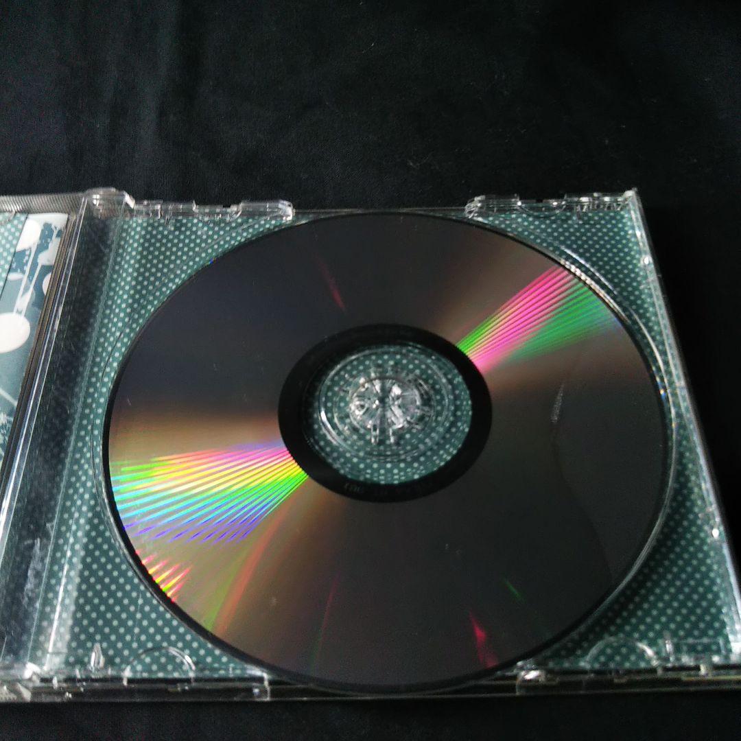 ポルカドットスティングレイ 　 極彩