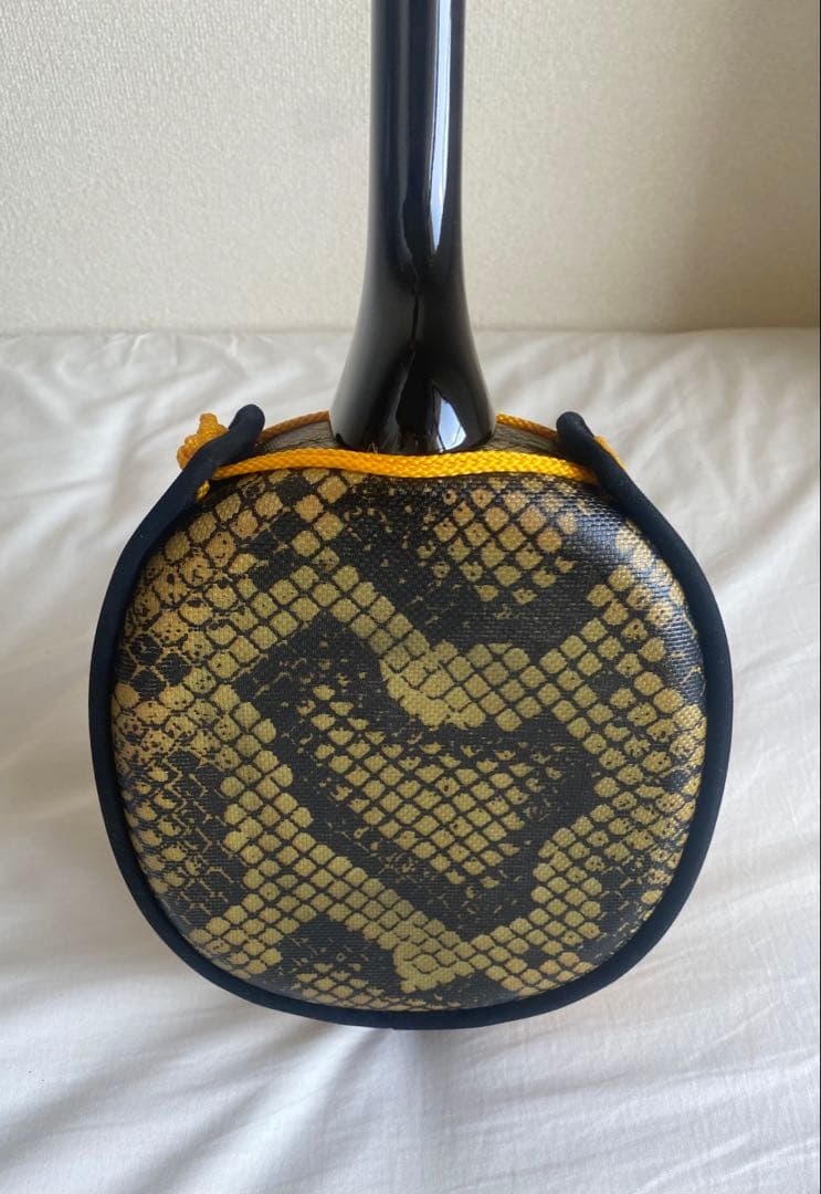 三線 初心者セット｜ほぼ未使用｜付属品一式あり