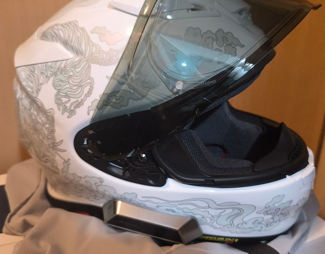 Z-8 FEARLESS TC-6 Mサイズ SENA SRL-EXTセット