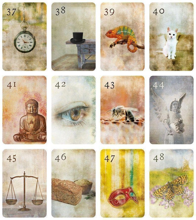 ムーンナイトルノルマンカード 占い オラクルカード タロットカード