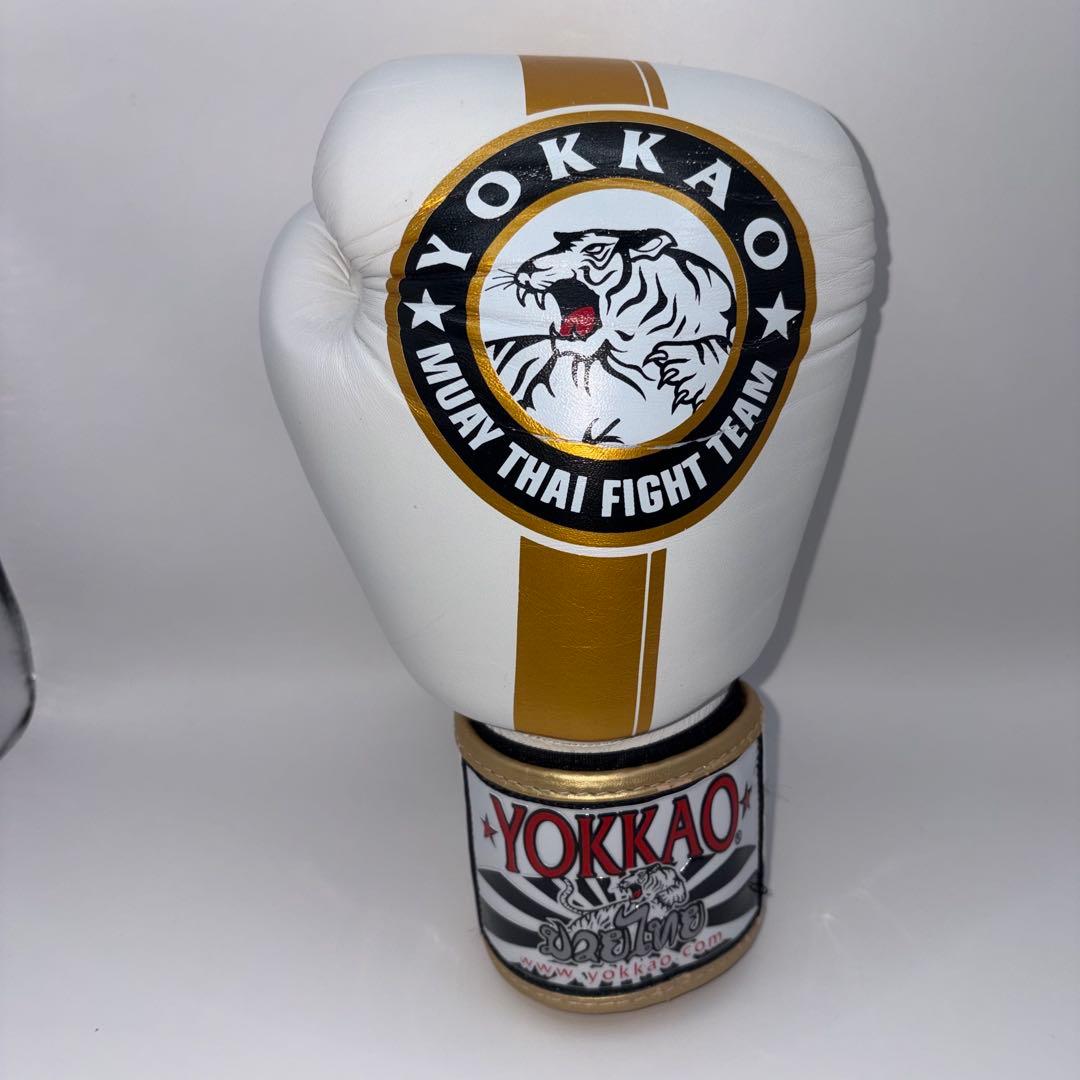 【希少モデル】 YOKKAO ヨッカオ 10オンス ボクシング グローブ