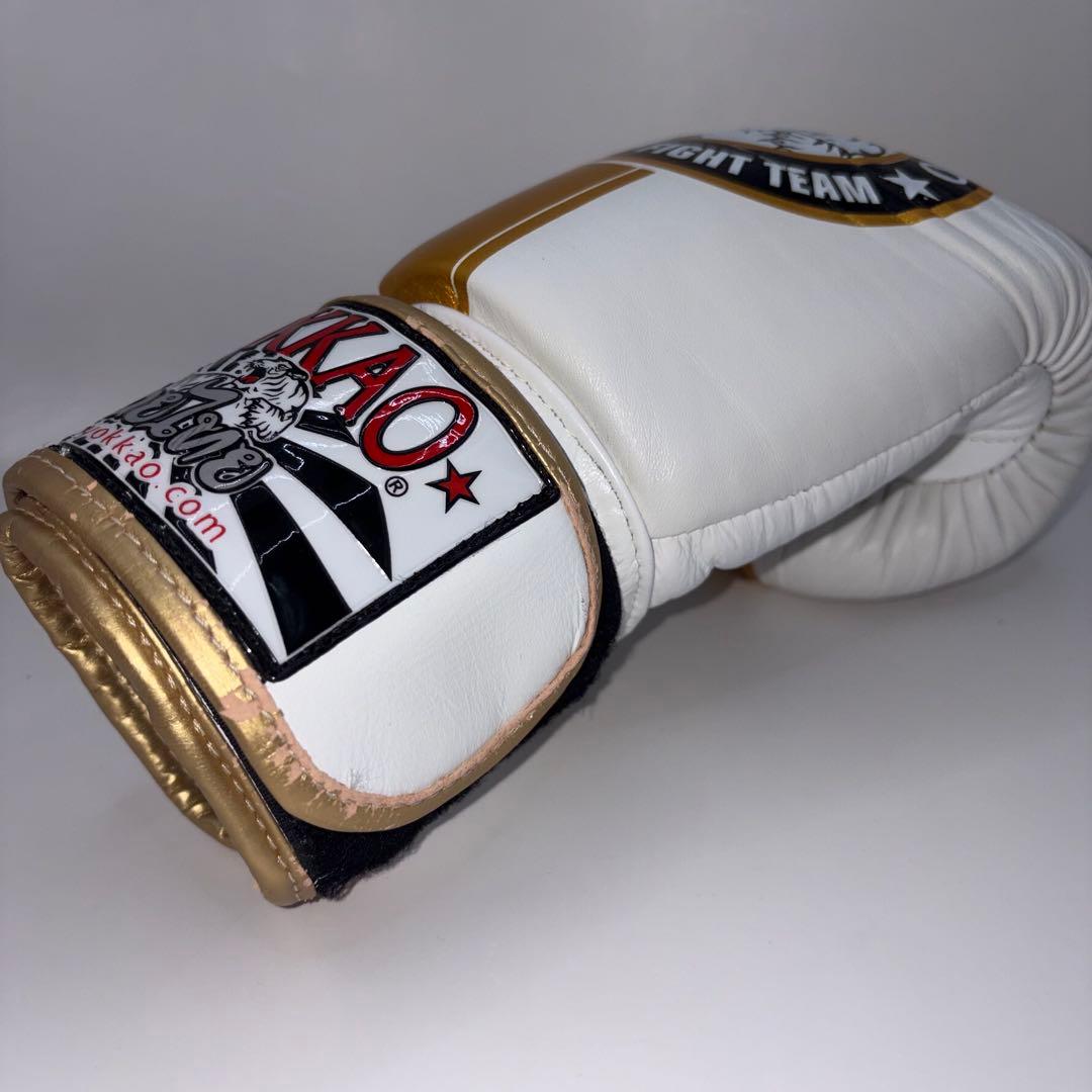 【希少モデル】 YOKKAO ヨッカオ 10オンス ボクシング グローブ