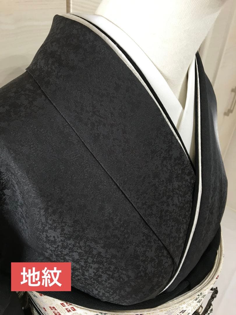 都会的　ドレッシーな【訪問着】正絹　友禅　墨色　裄長め