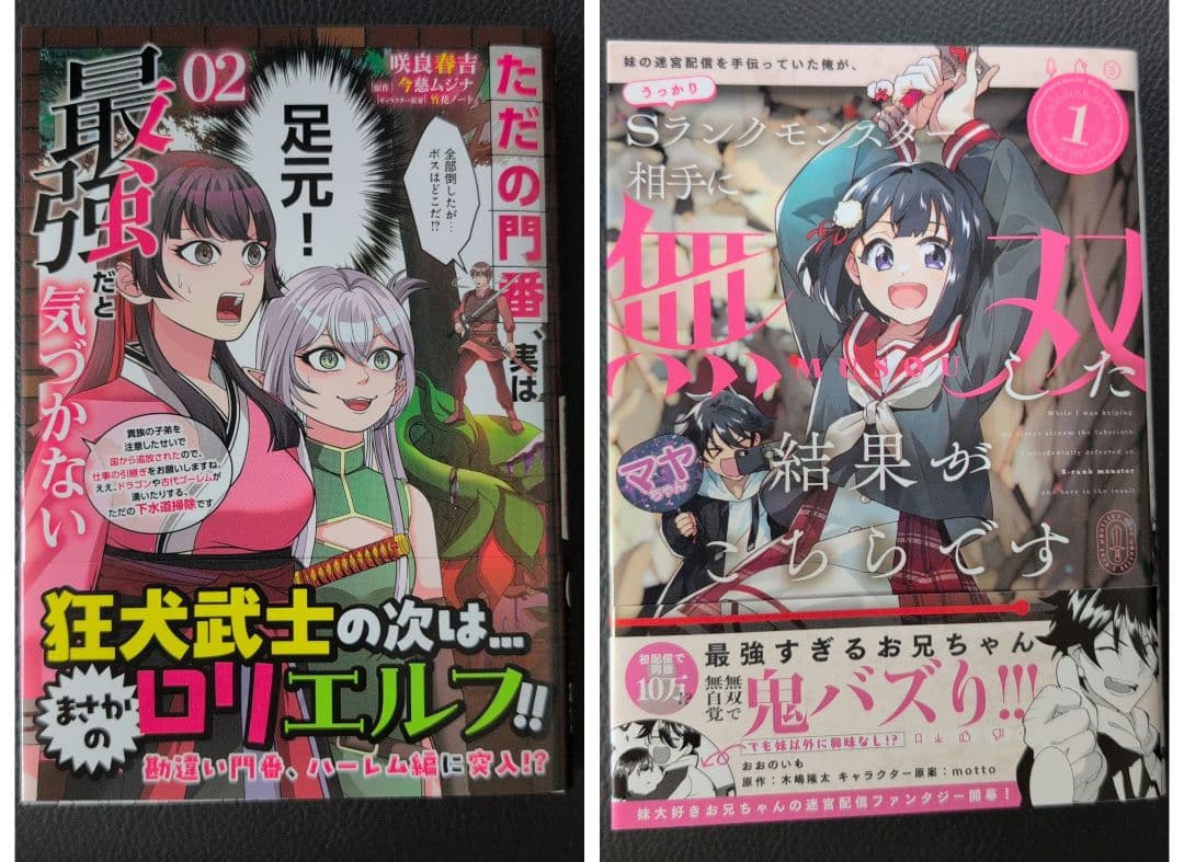【ゆか様】「ただの門番、実は最強だと気づかない2 : 貴族の子弟を注意したせいで