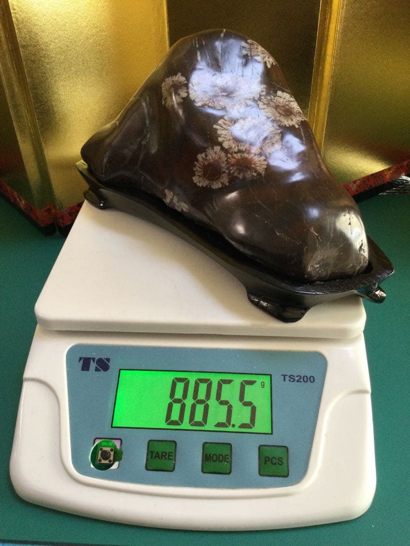 岐阜県根尾谷　菊花石台座付き　菊花石　観賞石