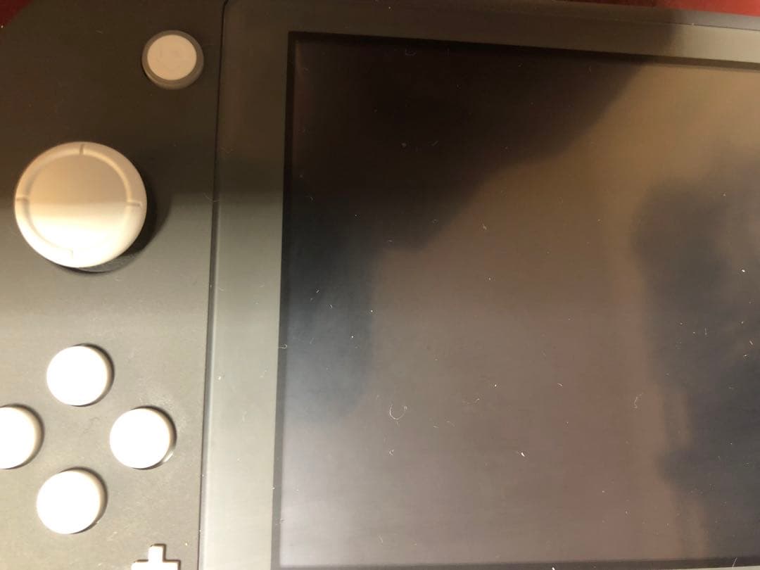 Nintendo Switch Lite グレー　本体　保証付