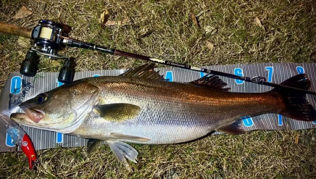 ABU GARCIA アンバサダー5600ca