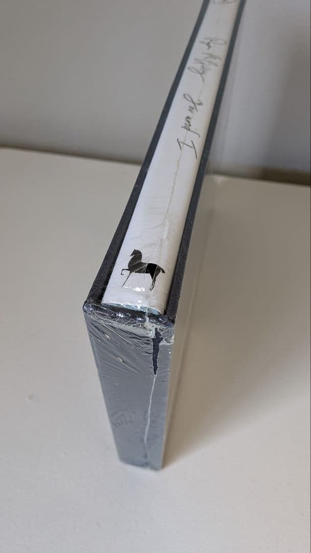 RYAN McGINLEY「You & I」Limited Edition