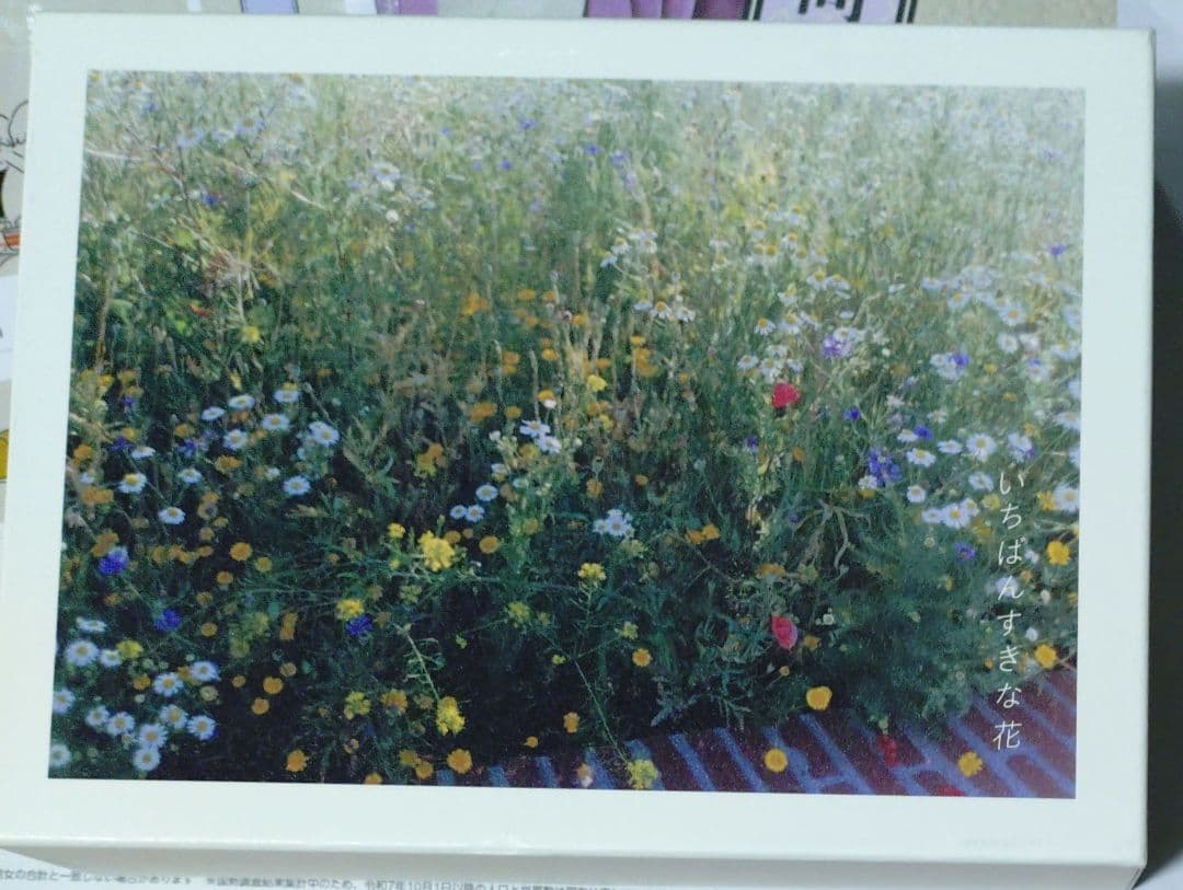 いちばんすきな花-ディレクターズカット版- DVD-BOX〈7枚組〉