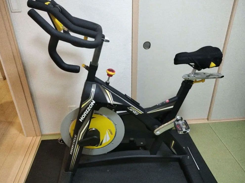Horizon GR6 インドアサイクル