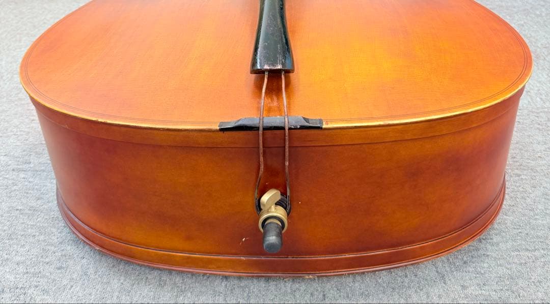 Hallstatt コントラバス WBS-800