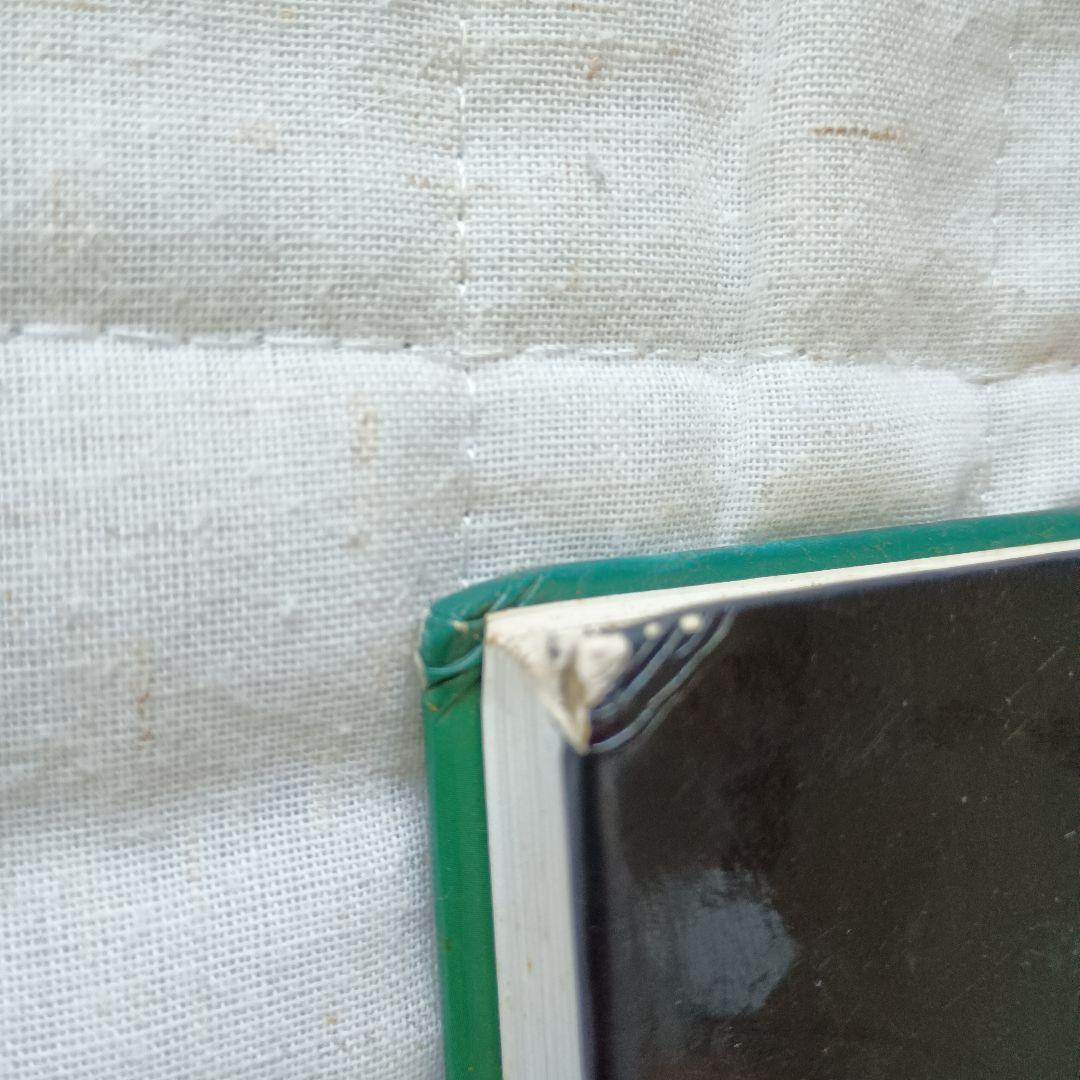 魔術師リンダ・ラリーの短期売買入門