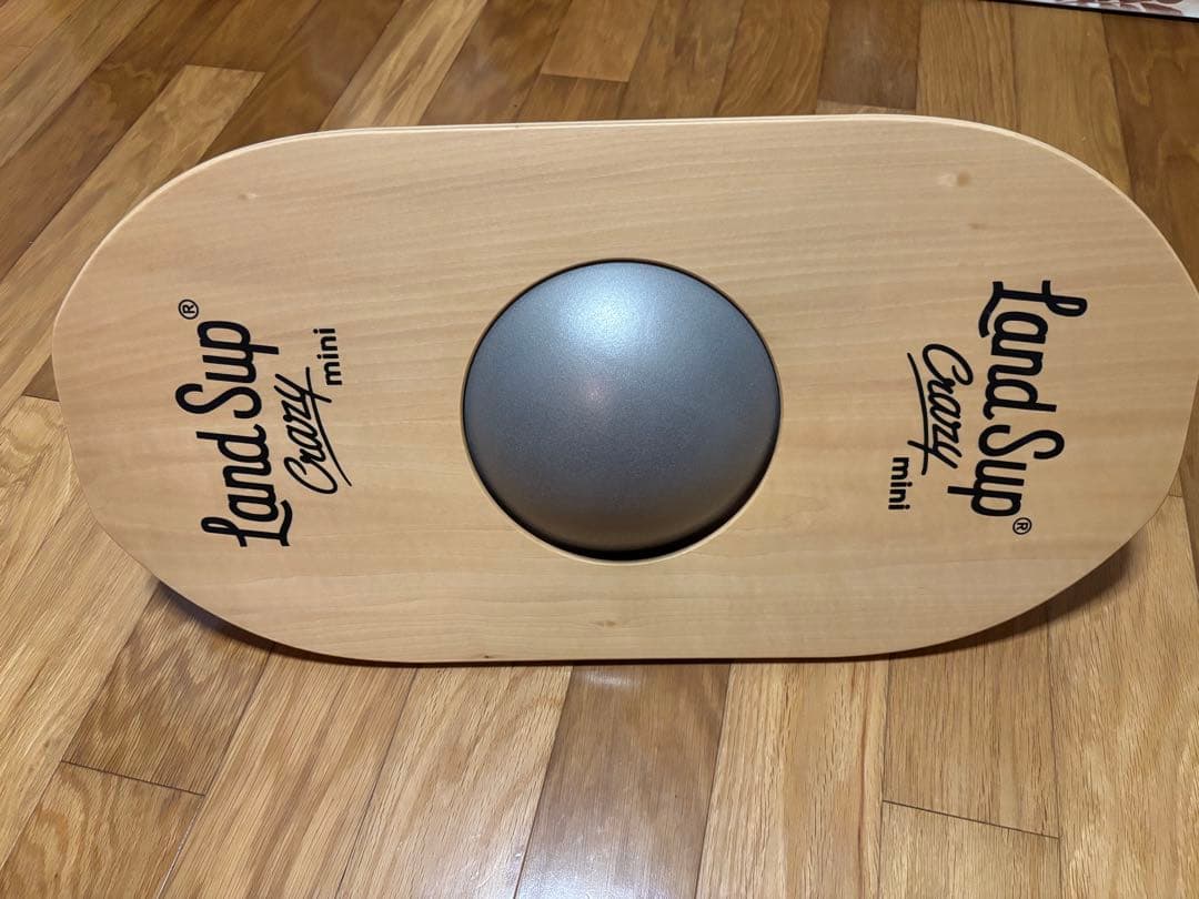 Land Sup Crazy mini バランスボード