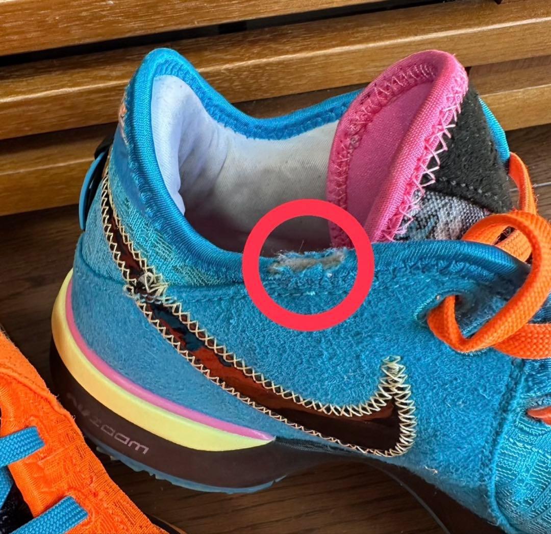 シューズ(男性用) Nike Zoom LeBron NXXT Gen \"I Promise\"