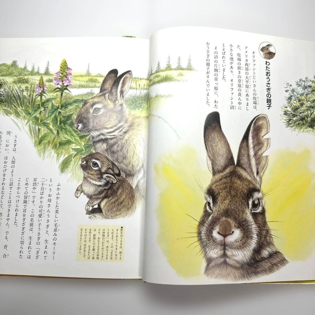【2点購入150円引】ぎざ耳うさぎの冒険 : シートン動物記
