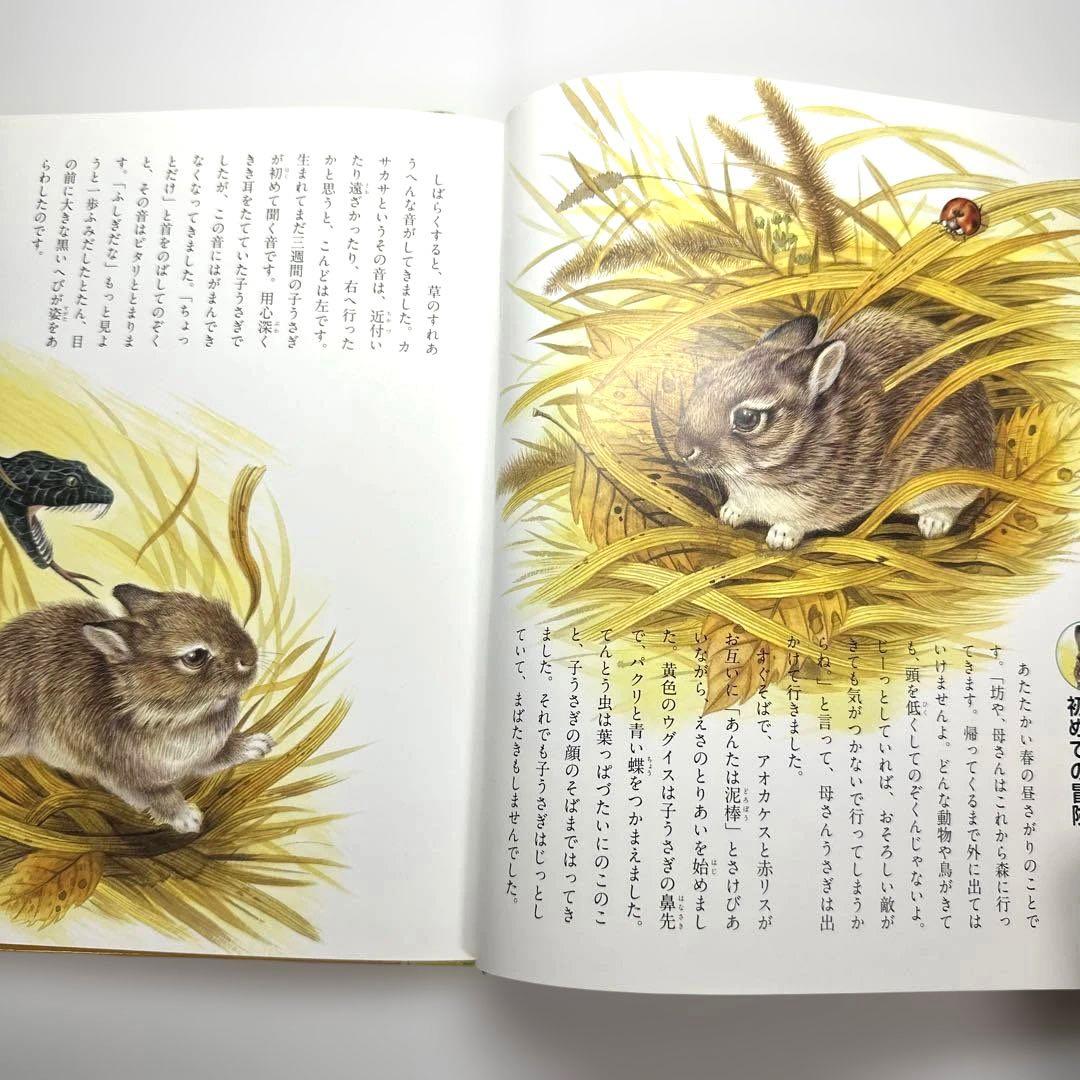 【2点購入150円引】ぎざ耳うさぎの冒険 : シートン動物記