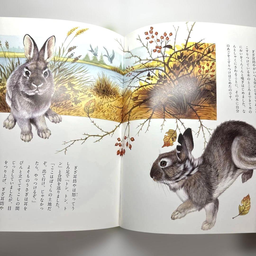 【2点購入150円引】ぎざ耳うさぎの冒険 : シートン動物記