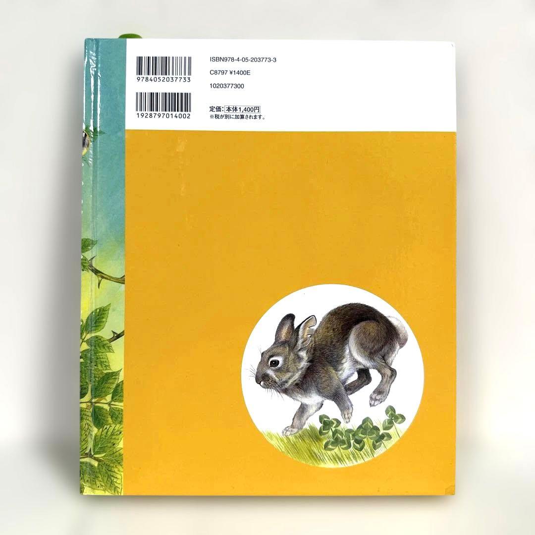 【2点購入150円引】ぎざ耳うさぎの冒険 : シートン動物記