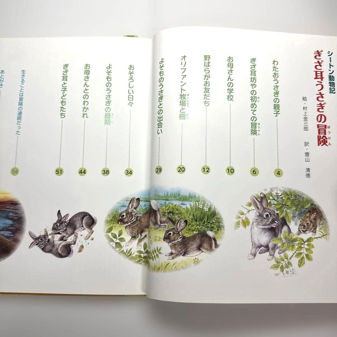 【2点購入150円引】ぎざ耳うさぎの冒険 : シートン動物記