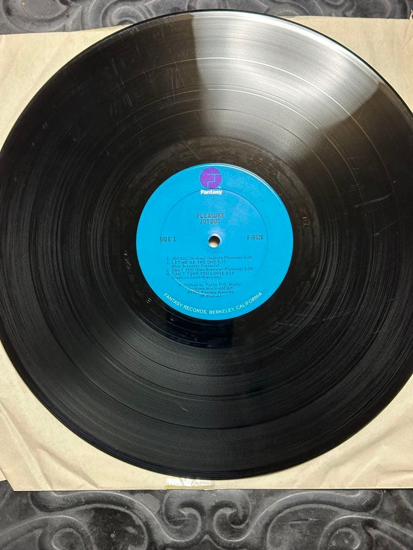 PLEASURE／JOYOUS