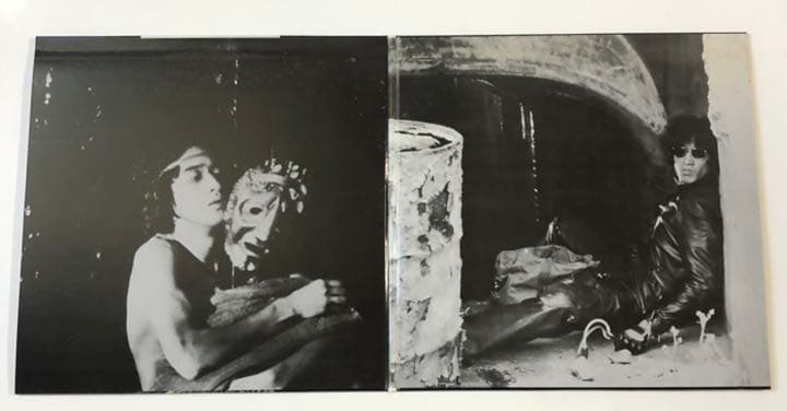 レーザーディスク  蘇える金狼　2枚入り