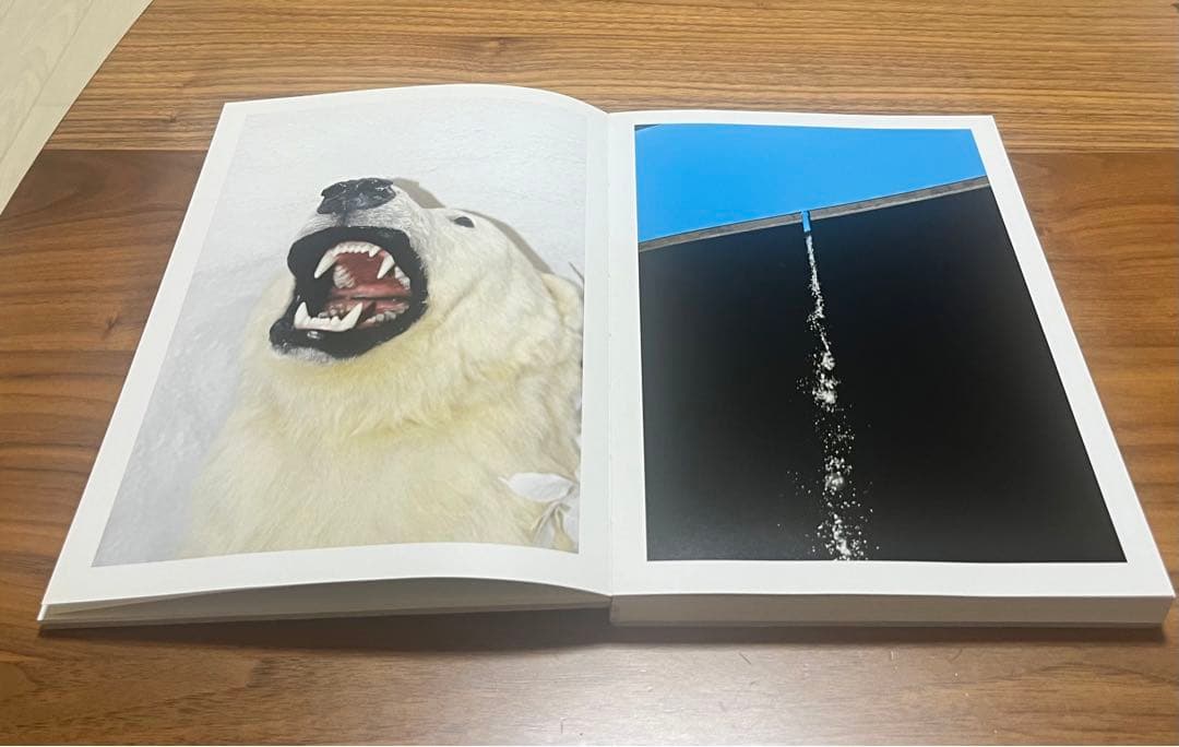 COLORS 水谷吉法　YOSHINORI MIZUTANI